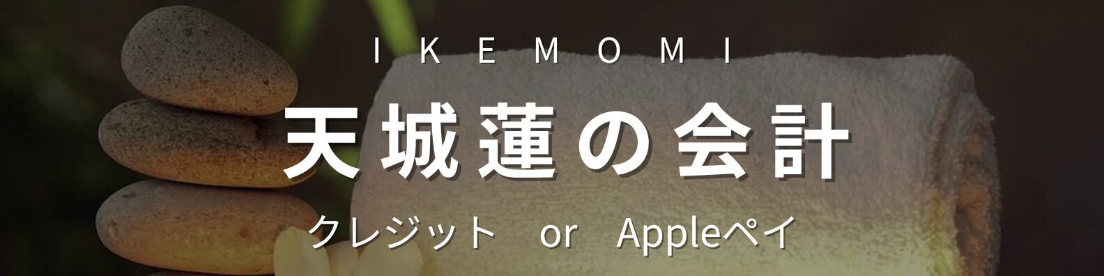 天城蓮の会計